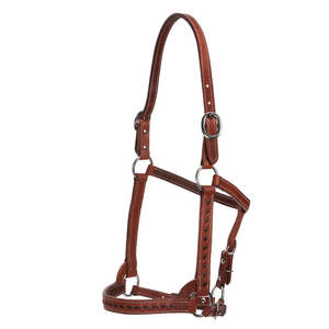 Ensemble de harnais anglais de qualité supérieure, licol d'endurance, bride, rênes, plastron, corde de cheval en acier inoxydable mat, licol équestre - Product Image 5