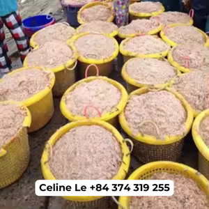 ALTA CALIDAD | POLVO DE CÁSCARA DE CAMARONES/POLVO DE CÁSCARA DE GAMBAS LISTO PARA EXPORTAR DESDE VIET NAM - Product Image 2