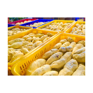 Frutas durianas frescas congeladas a la venta-Monthong Durian de Vietnam de alta calidad a buen precio 2023 - Product Image 2