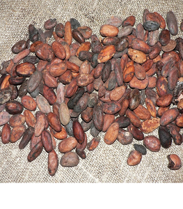 Poudre de cacao 100% Forastero torréfiée, qualité supérieure, 25 kg, qualité premium, cacao naturel, Afrique de l'Ouest, fournisseurs en gros - Product Image 4