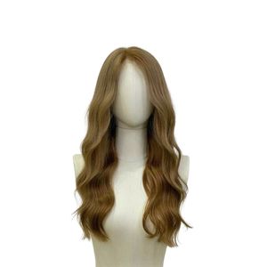 100% cheveux humains vierges vietnamiens non transformés os droit HD pleine dentelle avant longue perruque pré-plumée couleur personnalisée - Product Image 1