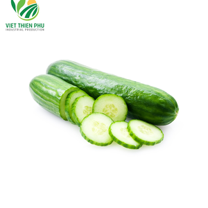 Dưa chuột tươi đã sẵn sàng để sử dụng từ Việt Nam duy nhất các loại thảo mộc & gia vị - Product Image 1