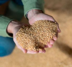 Farine de soja riche en protéines (48 %) pour l'alimentation animale, qualité alimentaire, pour chevaux, porcs, bovins, poissons et volailles - Product Image 2