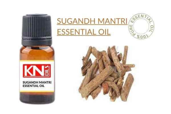 ตามที่แสดง