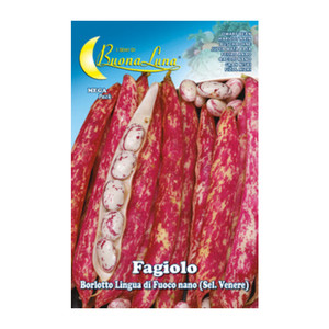 Semiduraznos Nani Borlotti - Product Image 1