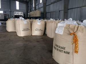 ¡OFERTA! SILAJE DE MAÍZ - Alto Estándar de Exportación con el Mejor Precio de VIETNAM 2024 - Product Image 5