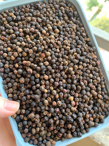 Pimienta de producto agrícola vietnamita de alta calidad del proveedor Bao Tram Anh buen precio ofrecido - Product Image 2