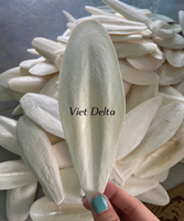 Os de Seiche Séchés de Haute Qualité du Vietnam, Certifiés HACCP ISO, Grade A, Séchage Naturel au Soleil, 4-15cm, Bon Prix - Liam