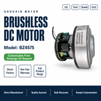 Moteur d'aspirateur CC sans balais 75 mm à alimentation directe usine 7,4-29,6 V 50-300 W, pièces de rechange haute vitesse