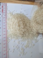 Sac de riz Calrose de 20 kg pour les îles du Pacifique - Riz blanc à grains ronds moyens courts Camolino Egyptant 3% 5% brisures // ANNA DO VIL