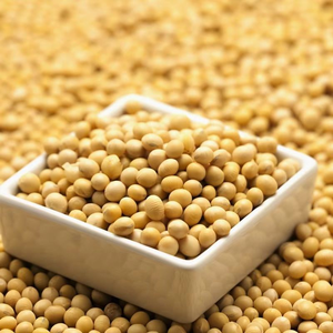 Semillas de Soja Amarilla de Alta Calidad, 50% de Proteína, Origen Estadounidense, Secas, 25 kg, Ingredientes Saludables para Cocinar, 2 Años de Duración, Entrega Rápida - Product Image 5