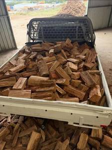 Hard Beech Firewood <b>Kindlings</b> for Custom Timberwork and Softwood Pine <b>Fire</b> Starter Wood High-Performance Premium Use - Product Image 4