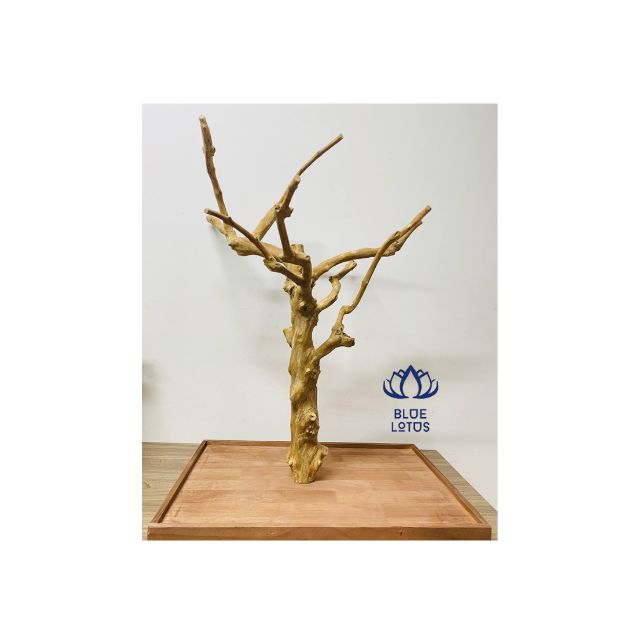 bird perch stand tree