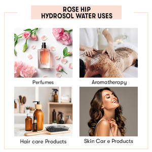 Eau hydrosol de rose musquée en gros Prix pour étiquetage privé: Eau hydrosol de rose musquée de qualité supérieure pour votre bien-être holistique - Product Image 4