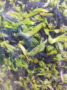 ดอกไม้สำหรับชา: ดอกไม้ถั่วผีเสื้อจากเวียดนามเพื่อการส่งออกเพื่อขาย/สีฟ้าสวยงามและอเนกประสงค์/ขายส่งพร้อม - Product Image 4