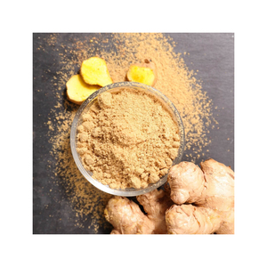 Poudre de gingembre en vrac destinée à un usage commercial dans les boissons alimentaires et les produits à base de plantes - Product Image 4