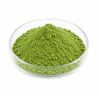 Poudre d'herbe d'orge pure, concentré de jus d'orge en poudre, ingrédient Super Greens de qualité alimentaire, vente en gros et approvisionnement en vrac