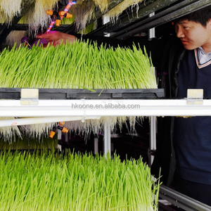 Climate Controlled Fodder Container for <b>Barley</b> Grass Animal Feed Growing in Cold and Dry Areas - Product Image 4