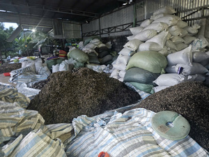 Hongo negro seco de primera calidad Tallo entero Eliminado Seta de oreja de madera cortada Proveedor DE CALIDAD DE EXPORTACIÓN DE Vietnam - Product Image 2