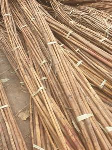 Vente en gros bon marché 40mm à 65mm Poteau de canne en rotin poli Akina - Product Image 5