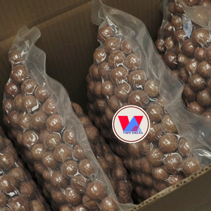 Nueces de Macadamia de alta calidad | Macadamia con cáscara y sin cáscara de Vietnam - Product Image 1