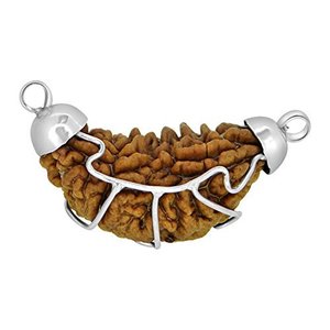 Arihant Gems & Jewels - Rudraksha de una cara en forma de media luna (marrón), artículo religioso hindú - Product Image 2