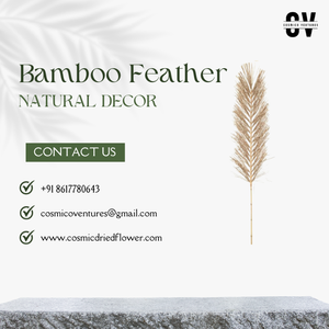 Plumas de Bambú Naturales de Alta Calidad al por Mayor para Manualidades, Decoración de Eventos de Halloween y Otras Decoraciones con Flores y Hierba Secas2026 - Product Image 3