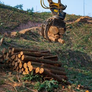 Nueva Excavadora Hidráulica a Gasolina WO YUAN de 20-25 Toneladas con Garra, 1 Año de Garantía para Uso Forestal - Mayor Seguridad y Tiempo de Funcionamiento - Product Image 4
