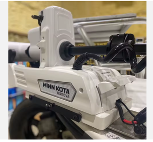 NUEVO Motor de Arrastre, 2436V en venta - Product Image 1