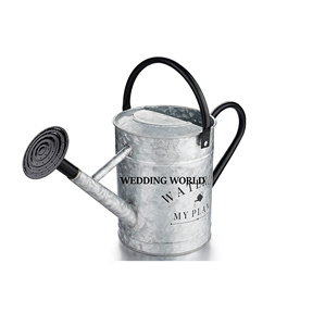 Canne d'arrosage galvanisée finie noire pour le bidon d'eau en gros de forme ronde de jardin - Product Image 1