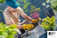 Guantes de Trabajo de Algodón y Cuero Resistentes OEM, Palmas Reforzadas, Antivibración, Antiestáticos, Antideslizantes, Impermeables, con Pantalla Táctil, para Jardinería
