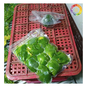 Aguacate congelado IQF medio cortado, delicioso aguacate congelado Hass & Booth variedad, mitades recién congeladas con textura cremosa para exportación - Product Image 1