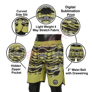 Blaze Fight Wear Custom 2025 Verano Impreso Pantalones casuales Pantalones de playa de malla Pantalones cortos personalizados de secado rápido al aire libre para hombres - Product Image 5