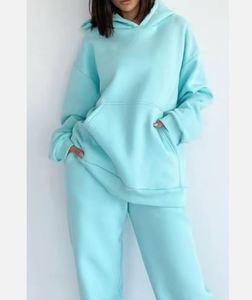 Sweat à capuche court pour femmes OEM de qualité supérieure Logo personnalisé Coton polaire Mode Fournisseur Streetwear - Product Image 2