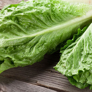 Meilleures ventes Laitues Légumes Feuille Tige Graines Salades Soupes Sandwiches Wraps Grillades Grossistes Fournisseurs en vrac - Product Image 2