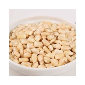 Maíz blanco sin OGM para compradores globales y pedidos a granel - Product Image 6