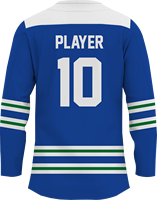 Camisetas de Hockey sobre Hielo Cosidas y Transpirables al por Mayor para St. Louis, Estilos de Jugador 50, 25, 10, 91, 100% Poliéster