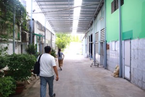 Rouleau de sangle en polypropylène PP du Vietnam pour l'expédition et l'emballage Approvisionnement direct OEM ODM de taille personnalisée - Product Image 4