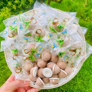 Top Selling Coconut Shell Tablet <b>Candy</b>-White Inside Coconut Shell Hard <b>Candy</b>-Dai Long Supplies High Quality Products - Product Image 5