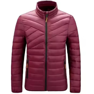 Vestes matelassées à col montant pour hommes de qualité supérieure, printemps-hiver, toile respirante avec revêtement, veste d'hiver chaude - Product Image 1