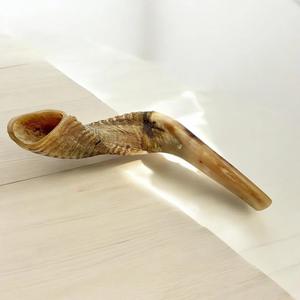 Cuerno de Shofar de Carnero Natural Pulido - Decoración Religiosa Ecológica para el Hogar de Alta Calidad - Product Image 4