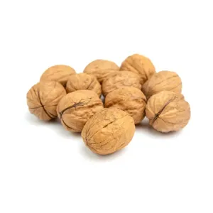 Moitiés légères organiques fraîches cerneaux de noix haute teneur en huile style séché-approvisionnement en vrac de traitement brut - Product Image 1