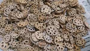 Raíz de loto seca, proveedor a granel de fábrica de raíz de loto seca que sirve a compradores de exportación con una calidad uniforme y sólida - Product Image 4