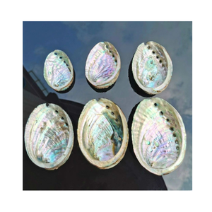 Venta al por mayor hallazgos de joyería de concha de abulón superventas accesorios de fabricación de concha de nácar y hermoso Adorno - Product Image 4