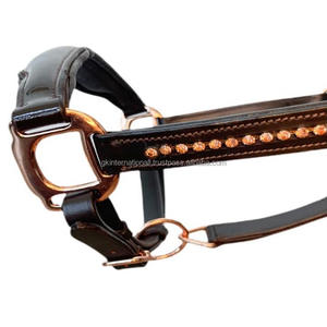 Nouveau design cheval licou Dressage licou en cuir véritable avec canal en cristal Bling pour l'entraînement des chevaux et la course licou toutes les tailles - Product Image 5