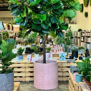 Thiết Kế Mới Màu Hồng Terrazzo Trồng Chậu Trong Nhà Ngoài Trời Sử Dụng Nhỏ Để Kích Thước Lớn Chất Lượng Cao Trang Trí Chậu Với Chi Phí Thấp - Product Image 2