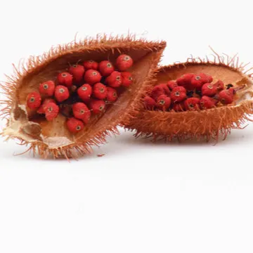 OEM cari nuts annatto nuts essiccato 100% puro sfuso per cucinare annatto biologico in polvere colore commestibile dal Vietnam