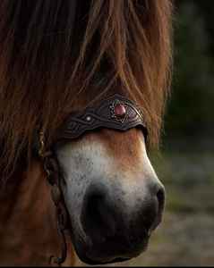 Caballete de cabeza de brida occidental de cuero ecuestre más vendido para carreras de caballos a precio mayorista - Product Image 3