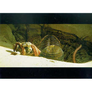 Tarjetas Postales de Edición Especial con Escenas para Ocasiones Especiales, Agradecimientos y Año Nuevo, Recuerdos Perfectos y Tarjetas de Agradecimiento - Product Image 1