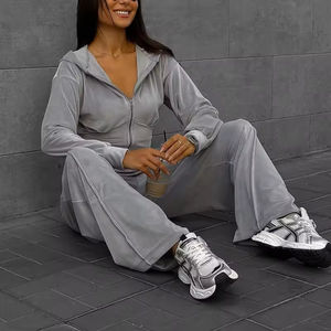 Nouveauté Survêtements pour femmes Tenues de sport décontractées de haute qualité Survêtements en velours velours à manches longues Coupe régulière - Product Image 2